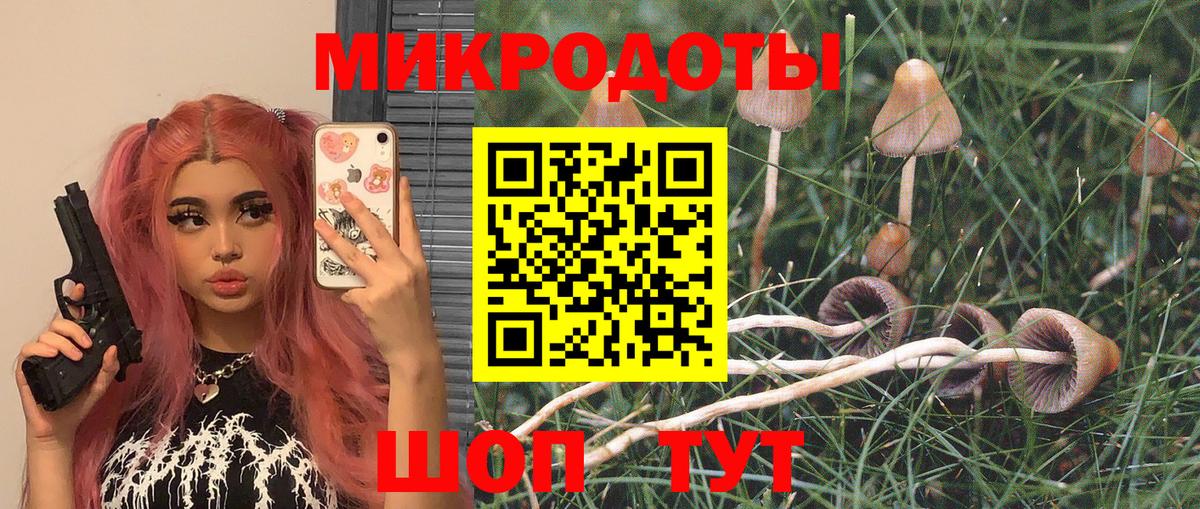 Димитровград  Галлюциногенные грибы GOLDEN TEACHER  Псилоцибиновые грибы GOLDEN TEACHER  Вход с VPN 